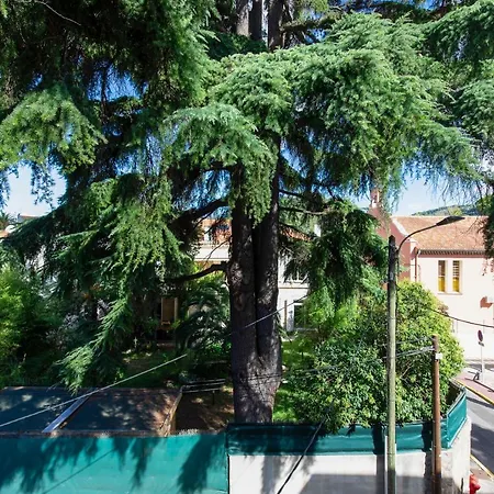 Atelier Ninette Cannes